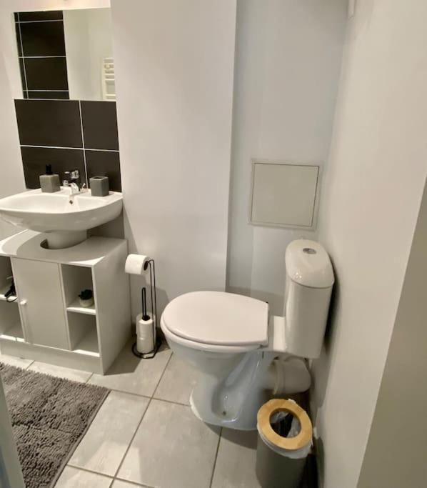 Vaste Appartement Renove - Centre Ville Bourg-en-Bresse Dış mekan fotoğraf