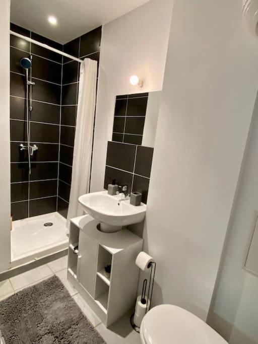 Vaste Appartement Renove - Centre Ville Bourg-en-Bresse Dış mekan fotoğraf